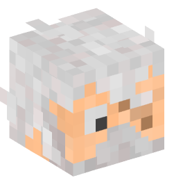 Minecraft head — People