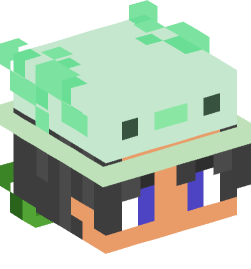 Minecraft head — People