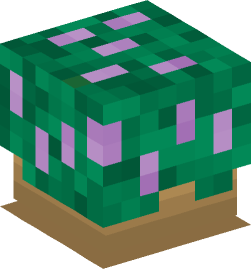 Minecraft head — Plants