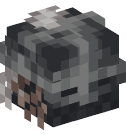 Minecraft head — People