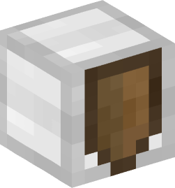 Minecraft head — Miscellaneous