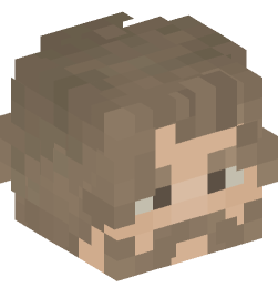 Minecraft head — People