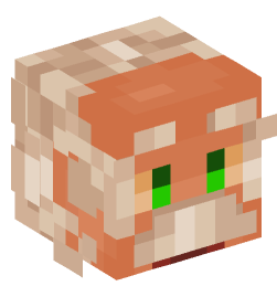 Minecraft head — People