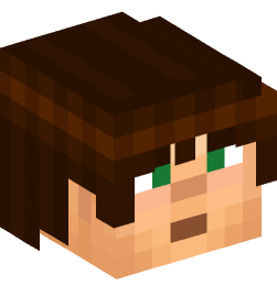 Minecraft head — People