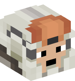 Minecraft head — People