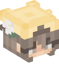 Minecraft head — People