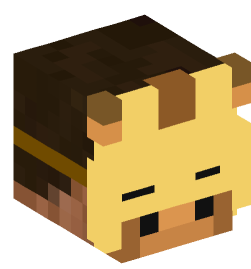 Minecraft head — People