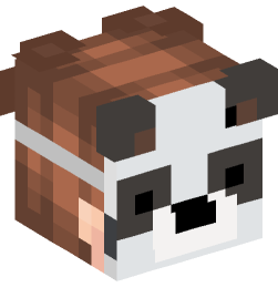 Minecraft head — People