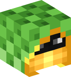 Minecraft head — People