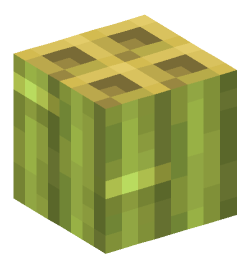 Minecraft head — Blocks