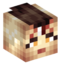 Minecraft head — People