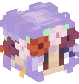 Minecraft head — People