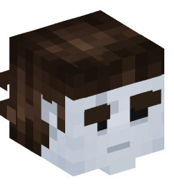 Minecraft head — People