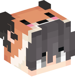 Minecraft head — People