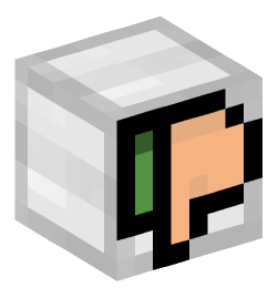 Minecraft head — Miscellaneous