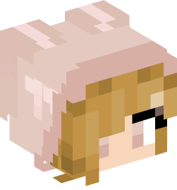 Minecraft head — People