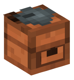 Minecraft head — Decor