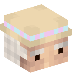 Minecraft head — People