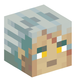 Minecraft head — People