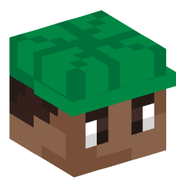 Minecraft head — People