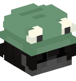 Minecraft head — People