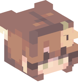 Minecraft head — People