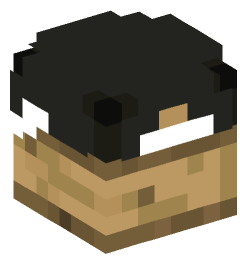 Minecraft head — Decor