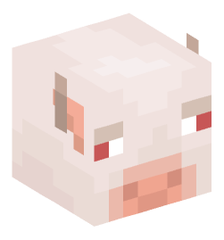 Minecraft head — Animals