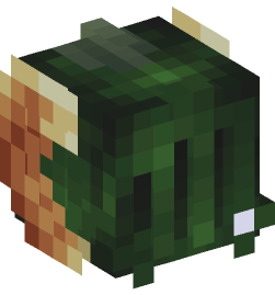 Minecraft head — People