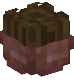 Minecraft head — Decor