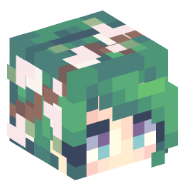 Minecraft head — People