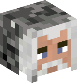 Minecraft head — People