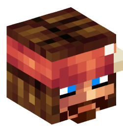 Minecraft head — People