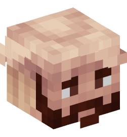 Minecraft head — People