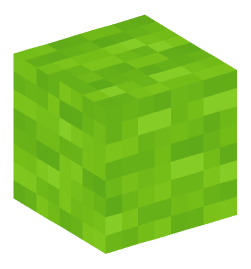 Minecraft head — Blocks