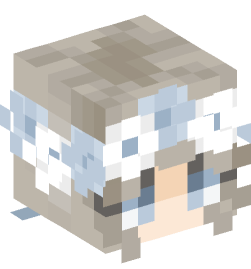 Minecraft head — People