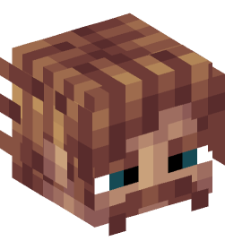 Minecraft head — People