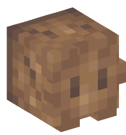 Minecraft head — Decor