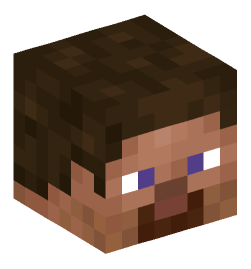 Minecraft head — People