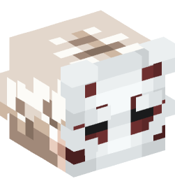 Minecraft head — People