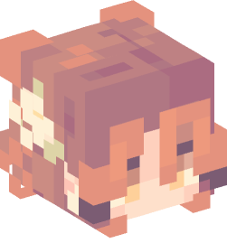 Minecraft head — People