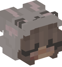 Minecraft head — People
