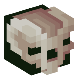 Minecraft head — Decor