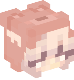 Minecraft head — People