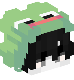 Minecraft head — People