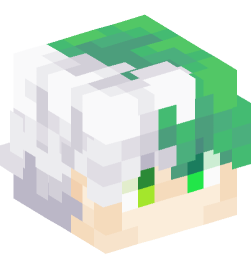 Minecraft head — People