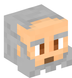 Minecraft head — People