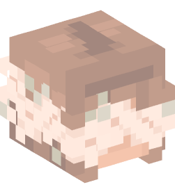 Minecraft head — People