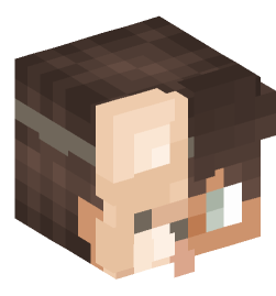 Minecraft head — People