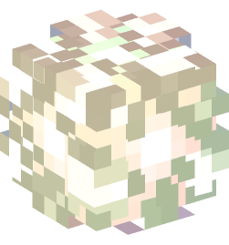 Minecraft head — Decor